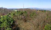 Tour Zu Fuß Ringgau - Premiumweg P 19 Datterode, Gänsekerleweg - Photo 2