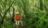 Randonnée Marche Montauroux - Les gorges de la Siagne et les chênes pluricentenaires - Photo 11
