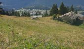 Excursión Senderismo Aussois - Aussois barrages et pont selaria - Photo 8