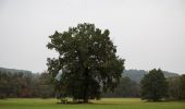 Tour Zu Fuß Sankt Johann in der Haide - Rohr bei Hartberg Weg 10 - Photo 2