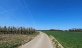 Trail Walking Bassenge - A la découverte de Glons 🥾 - Photo 3