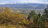 Trail Walking Grenoble - la bastille  - Photo 7