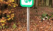 Trail Walking Jalhay - Balade Chanterelles  - Photo 1