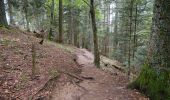 Trail On foot Dingy-Saint-Clair - PR Boucle du Parmelan - Photo 5