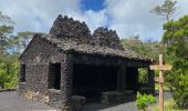 Trail Walking Flamengos - FAI GR01 : De volcan en volcan, Faial, Azores - Photo 19