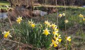 Tour Wandern La Roche-en-Ardenne - Etape 1 - Photo 1