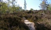 Trail Walking Larchant - larchant (photo)  - Photo 5