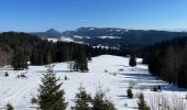 Tour Schneeschuhwandern Métabief - Les hauteurs de Metabief - Photo 4