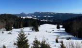 Randonnée Raquettes à neige Métabief - Les hauteurs de Metabief - Photo 4