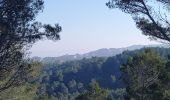 Trail Walking Saint-Rémy-de-Provence - Saint Remy - les Baux  - Photo 14