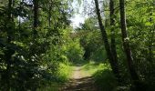 Trail Walking Bourg-et-Comin - Bourg Comin Paissy troglodytes  - Photo 12