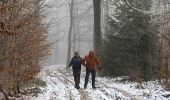 Trail Walking Manhay - Odeigne - Photo 5