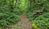 Tocht Stappen Saint-Chéron - Saint-Cheron - l'Orge - Photo 14