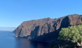 Randonnée Marche Santiago del Teide - Puerto de Santiago et chemin de Compostel  - Photo 2