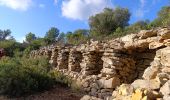 Excursión Senderismo Cuers - Les chapelles et l'Apié de Cuers - Photo 1