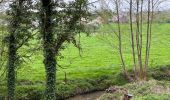 Tour Wandern Ottignies-Louvain-la-Neuve - #240412 - 3 bois : de Bustons, des Corbeaux et des Volontaires (courte) - Photo 19