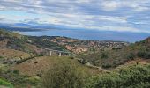 Tocht Stappen Collioure - boucle autour de collioure  - Photo 5