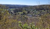 Trail Walking Esneux - Les Boubous - Photo 13