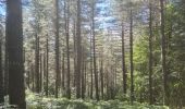 Randonnée Marche nordique Les Salces - Boucle du Loup depuis les Salces - Photo 17