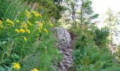 Trail Walking Saint-Gervais-les-Bains - Le Prarion - Photo 14