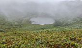 Tocht Stappen Saint-Claude - Guadeloupe - Chute du Galion - La Citerne - Photo 15