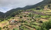 Tour Wandern Caniçal - Machado avec transfert de bus au milieu - Photo 6