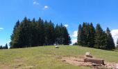 Excursión Senderismo Bellefontaine - Le point de vue de la roche devant - Photo 4