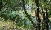 Tocht Stappen Les Arcs-sur-Argens - z le pont de l'Aille 19-04-22 - Photo 5