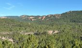 Excursión  Puget-sur-Argens - Lieutenante - Pierre du Coucou / bis - Photo 6