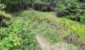 Tocht Stappen Le Bonhomme - Circuit de la Tête des Faux - Photo 7