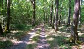 Trail Walking Saunay - Saunay - Sur les pas de Saint-Martin - 18.7km 170m 4h05 - 2022 09 04 - Photo 3