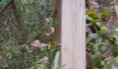 Randonnée Marche Bagnols-en-Forêt - Blavet - Photo 6