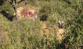 Tour Wandern Tanneron - Massif du Tanneron - Bois de Callian - Photo 6