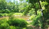 Trail Walking Houffalize - Engreux 190625 - Photo 4