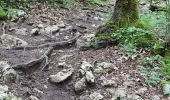 Trail Walking Doucier - randonnée des belvédère  - Photo 15
