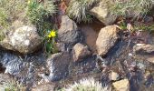 Tour Wandern Nasbinals - Nasbinal St Chély d'Aubrac - Photo 15