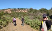 Percorso A piedi Roquebrune-sur-Argens - z le coulet redon 18-02-20 - Photo 5