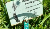 Randonnée Marche Montenach - montenach - Photo 1