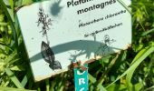 Percorso Marcia Montenach - montenach - Photo 1