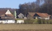 Randonnée A pied Embrach - Husacher - Winkel Seeb - Photo 8