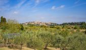 Tocht Te voet San Gimignano - Dolce campagna, antiche mura 19 - Photo 3