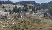 Randonnée Marche Saint-Agnan-en-Vercors - carrieres romaines - Photo 4