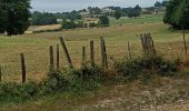 Trail Walking Ladignac-le-Long - Ladignac le long les deux forêts  - Photo 3