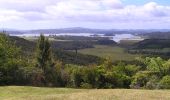 Tocht Te voet Bay of Islands-Whangaroa Community - Te Araroa - 01 Northland - d Kereikeri (Stone Store) to Waitangi Bridge - Photo 2