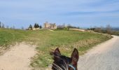 Tocht Paardrijden Saint-Marcellin-en-Forez - rando chateau d'essalois - Photo 1