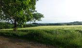 Randonnée Marche Neufchâteau - Massul - Lahérie - Photo 6