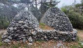 Tour Wandern Saint-Saturnin-lès-Apt - APT S Saturnin d Apt  , sentier des Auguiers et des bornes o - Photo 3