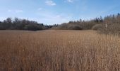 Tour Zu Fuß Unknown - Stensbæk Plantage - grøn vandrerute - Photo 8