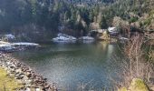 Trail Walking Rimbach-près-Masevaux - Rimbach - lacs du Neuweiher et des Perches par Rouge Gazon - Photo 6