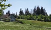 Trail Walking Le Tholy - sentier du blaireau jusqu'en Ecosse - Photo 5